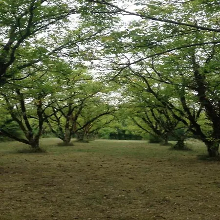 Сasa de vacaciones Beautiful With Garden *