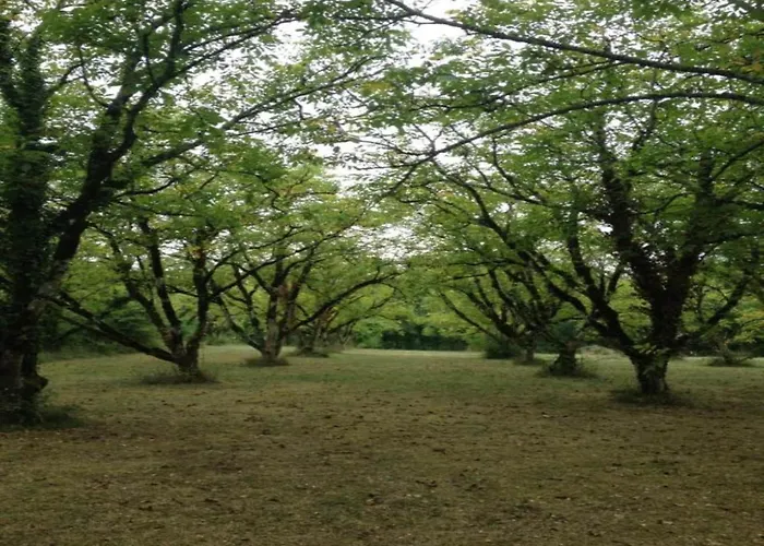 Saint-germain Bliss 펜션