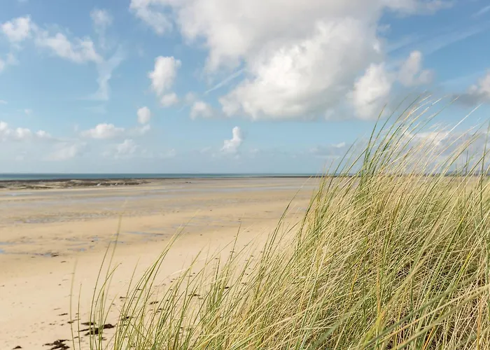 Saint-germain Bliss *